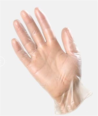 Guanti Vinile senza polvere trasparente pz.100   ESVS tg. XL