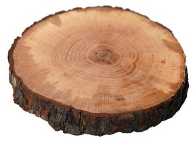 Tagliere d.20cm h.3,0cm in legno d'Ontano con corteccia